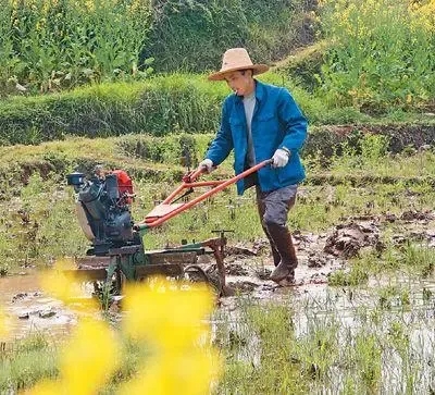 疫情防控的基本常识是什么？（疫情防控和春耕备耕两不误）